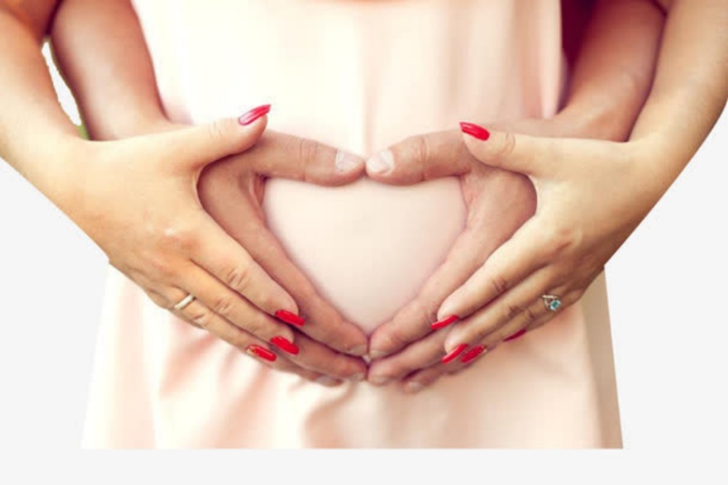 2.�������������